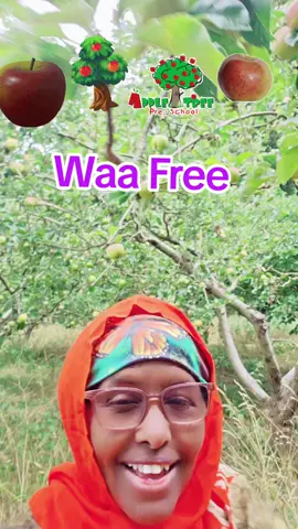 A post by @1901hawa on TikTok caption: #viralvideos #highlights #somali #language #vitamin 