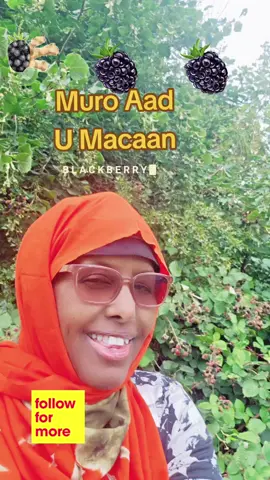 A post by @1901hawa on TikTok caption: #vitamin #viralvideos #highlights #somali #language  cuna burahaan waa Caafimaadka ayeey u fiicanyahiin 