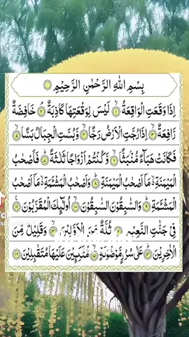 A post by @ahmed_78667 on TikTok caption: #onthisday 