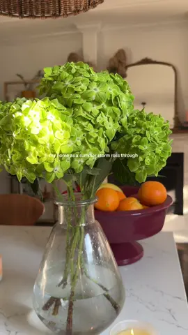 A post by @cozyinchicago on TikTok caption: I love how a summer storm cools the air and reminds you to slow down #homedecor #cozyathome #fypシ #fyp #cozyhomedecor #rain #rainstorm #calming 