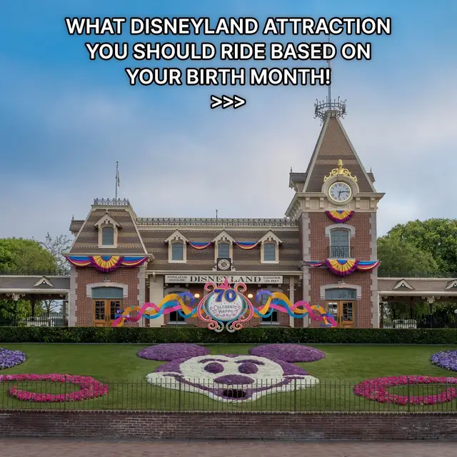 A post by @disney on TikTok caption: Coasting through the year with pure Disneyland Resort joy. 🎡