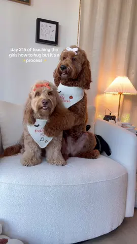 A post by @thedeluxepup on TikTok caption: the slump 😭😭😭😭 