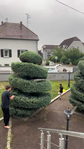 A post by @famillepapounini on TikTok caption: Il n’a jamais remballé les courses aussi vite 😂 #drole #romainetsonpere #videodrole #humour #fyp #foryou #pourtoi 