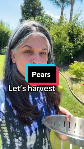 A post by @selfiequeen1977 on TikTok caption: #selfiequeen1977 #beauty #trending #garden #gardening  #harvest #california 