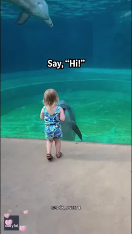 A post by @rock_sweetie510 on TikTok caption: #animal #baby #kids #toddler #funny 