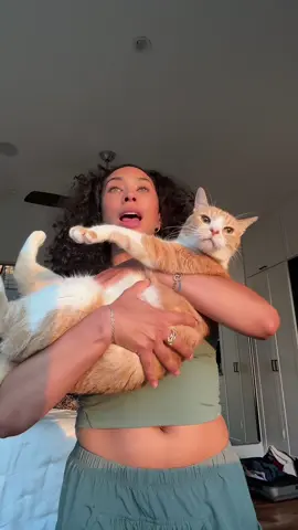 A post by @pilatesbodyraven on TikTok caption: I’m not anti rest, I’m anti lazy 🙂‍↔️