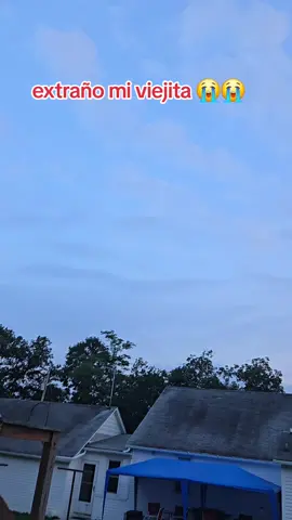 A post by @mayra_tri7 on TikTok caption: #creatorsearchinsights #cute #creatorsearchinsights 
