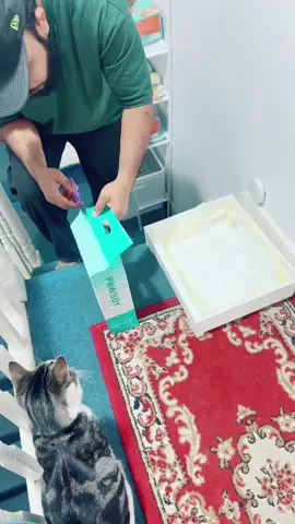A post by @ on TikTok caption: #pawbycatlitter #summersale #tiktokmademebuyit 