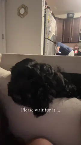 A post by @jessilynmariee_ on TikTok caption: I can’t with her 😭🤣