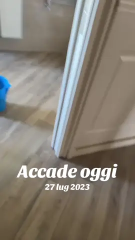 A post by @misterpellapazzofamily1 on TikTok caption: #accadeoggi 