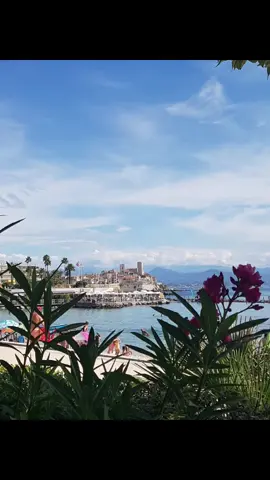 A post by @benomarnina on TikTok caption: #CapCut #mois #HeinzToutlÉté #f #tik_tok #tiktok_india #islamic_video #tiktok_india #humor 