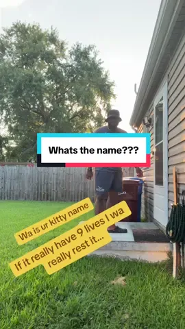 A post by @ on TikTok caption: Lemme test it… #mrstewart #fyp #reureu #fypシ #randomvideo 