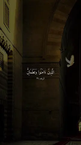 A post by @r7lff on TikTok caption: "ألا بذكر اللّٰه تطمئن القلوب"... متى حسّيت بمعناها؟ #اطمن #قران_كريم #quran #ماهرالمعيقلي 