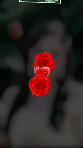 A post by @inimameaestitu2 on TikTok caption: 💞💞💞💞💞🥰🥰🥰🥰🥰💙💙💙💙💙😍😍😍😍😍❤️‍🔥❤️‍🔥❤️‍🔥❤️‍🔥❤️‍🔥🌹🌹🌹🌹🌹🫶🫶🫶🫶🫶
