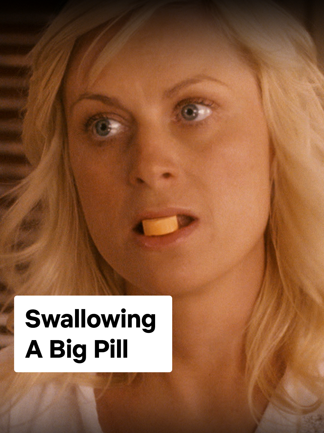 A post by @netflixisajoke on TikTok caption: Amy Poehler is a national treasure #BabyMama #AmyPoehler #TinaFey #film #comedy #netflix #netflixisajoke #watch #movies #movierecommendations