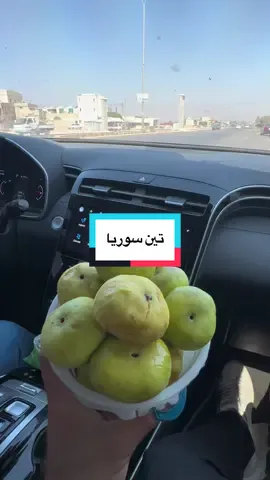 A post by @sabbouh_agentur on TikTok caption: #سوريا #ادلب #تين #الشعب_الصيني_ماله_حل😂😂 #triding_video #trends #fyp #foruyou 