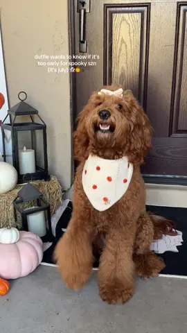 A post by @thedeluxepup on TikTok caption: she’s over me 👻👻👻👻
