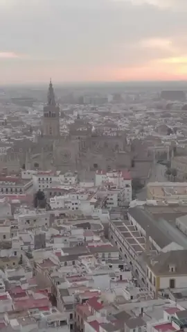 A post by @siatonakone on TikTok caption: Vous êtes prêt pour la. Nouveauté