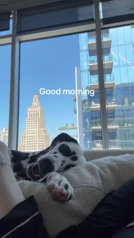 A post by @thatkaitysmith on TikTok