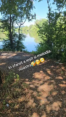 A post by @mihaelammanu on TikTok caption: #🤪 #🤣🤣🤣 