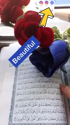A post by @peaceful_islam1 on TikTok caption: beautiful Quran #voice tilawat #foryou #foryoupage #fyp #muslim #islam 