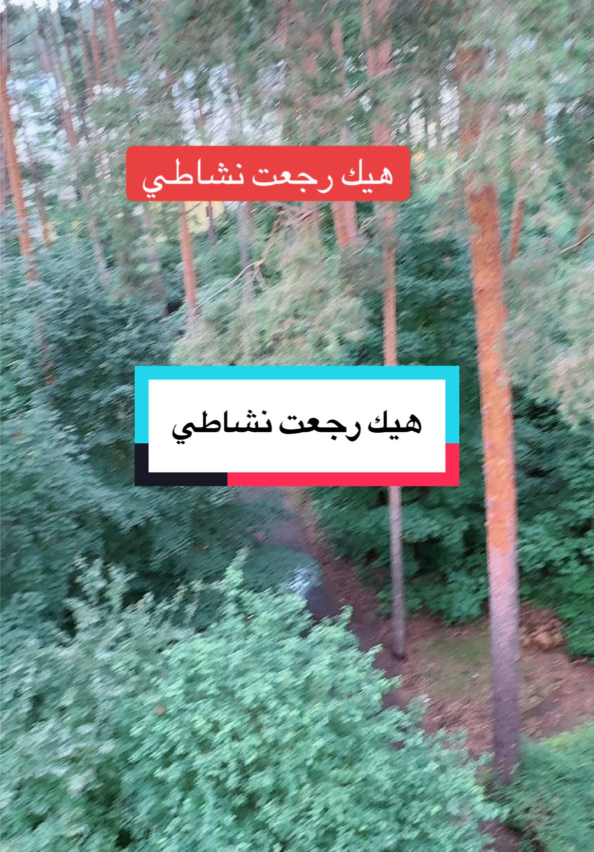 A post by @ on TikTok caption: طاقة متجددة ونشاط وتركيز عالي أنصح فيه وبقوة #شيلاجيت #shilajit #naturprodukte #energie #ayurveda #هيك رجعت نشاطي#foryoupage❤️❤️ #capcutamor #الشعب_الصيني_ماله_حل😂😂 