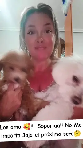 A post by @piter197635 on TikTok caption: #fpy #enparati 