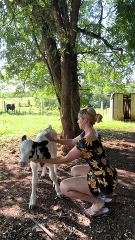 A post by @danna.d28 on TikTok caption: Ahora está tan grande este animalito 🥰🥰
