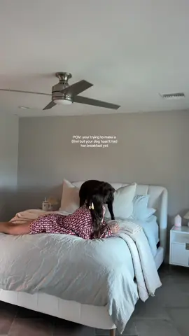 A post by @graciewetherbee on TikTok