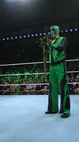 A post by @wwe on TikTok caption: that poor iguana 🥺🦎