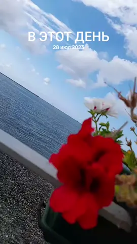 A post by @anabeliii1307 on TikTok caption: #ВэтотДень