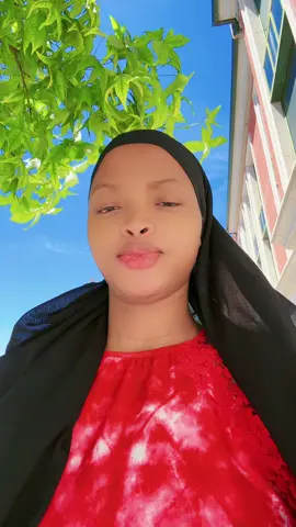 A post by @mamanbb223 on TikTok
