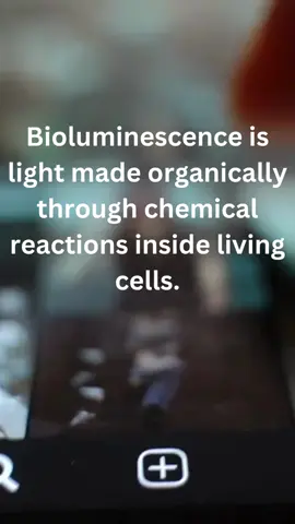 A post by @dropsknowledge on TikTok caption: bioluminescence is beautiful #biology #learnontiktok #stem 