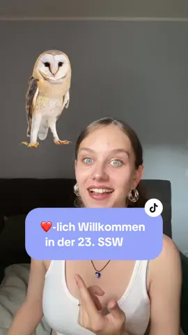 A post by @nichtsehraesthetisch on TikTok caption: Wir haben die 23.SSW erreicht & wie jeden Montag erzähle ich euch, was gerade so abgeht❤️ Die Tritte sind mittlerweile so stark, dass ich sie gestern das erste Mal mitm Handy aufnehmen konnte🥹 Wie man vielleicht merkt, könnte ich Stunden darüber reden wie toll ich es finde, Frosch treten zu spüren😭😂 Habt/hattet ihr ein aktives oder ein bewegunsfaules Baby?🙈 (Sind alles nur Richtwerte & alles kann aber nichts muss) #schwanger #schwangerschaft #pregnancy #pregnantlife #23ssw #goodtoknow #frosch #fyp #fürdich #explorepage✨ #liebe