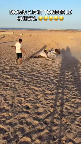 A post by @rfk_b on TikTok caption: 👻: Rfk_boudiaf 
