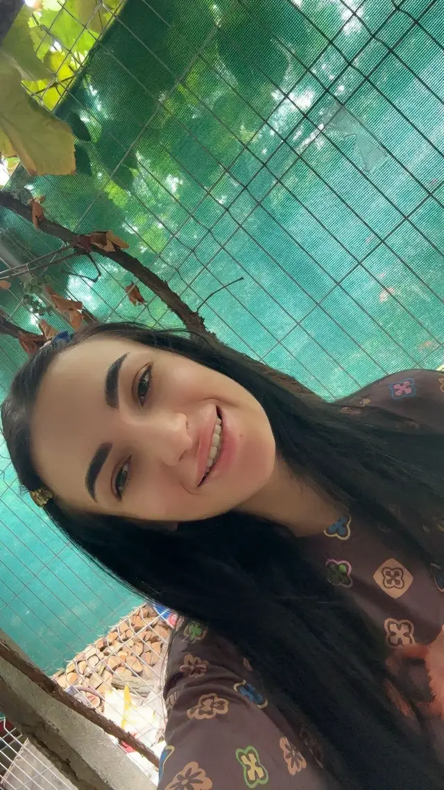 A post by @s26vli on TikTok