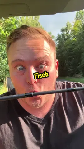 A post by @schatzo.und.schatzoline on TikTok caption: Mehr davon? #PetriHeil #donaldduck #comedy #lachenistgesund 
