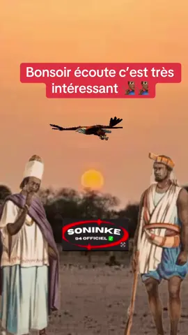 A post by @soninke942 on TikTok caption: #soninkara🇸🇳🇲🇱🇲🇷🇬🇲🇬🇳 #soninkara #sambaparisien #gandafadiga #soninke #wagadouremou🇸🇳🇬🇳🇲🇱🇬🇲🇲🇷 #suivre #pourtoii #belasoumare #pourtoiiii 