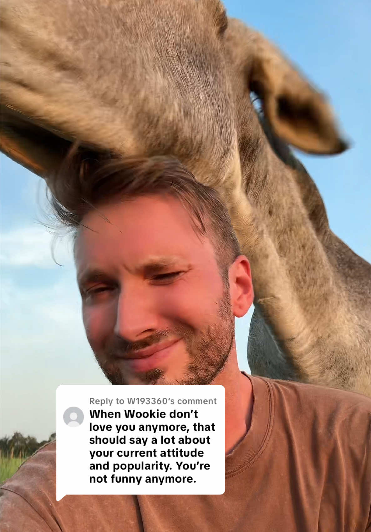 A post by @matt_mathews on TikTok caption: Replying to @W193360 yep, he hates me 🤣