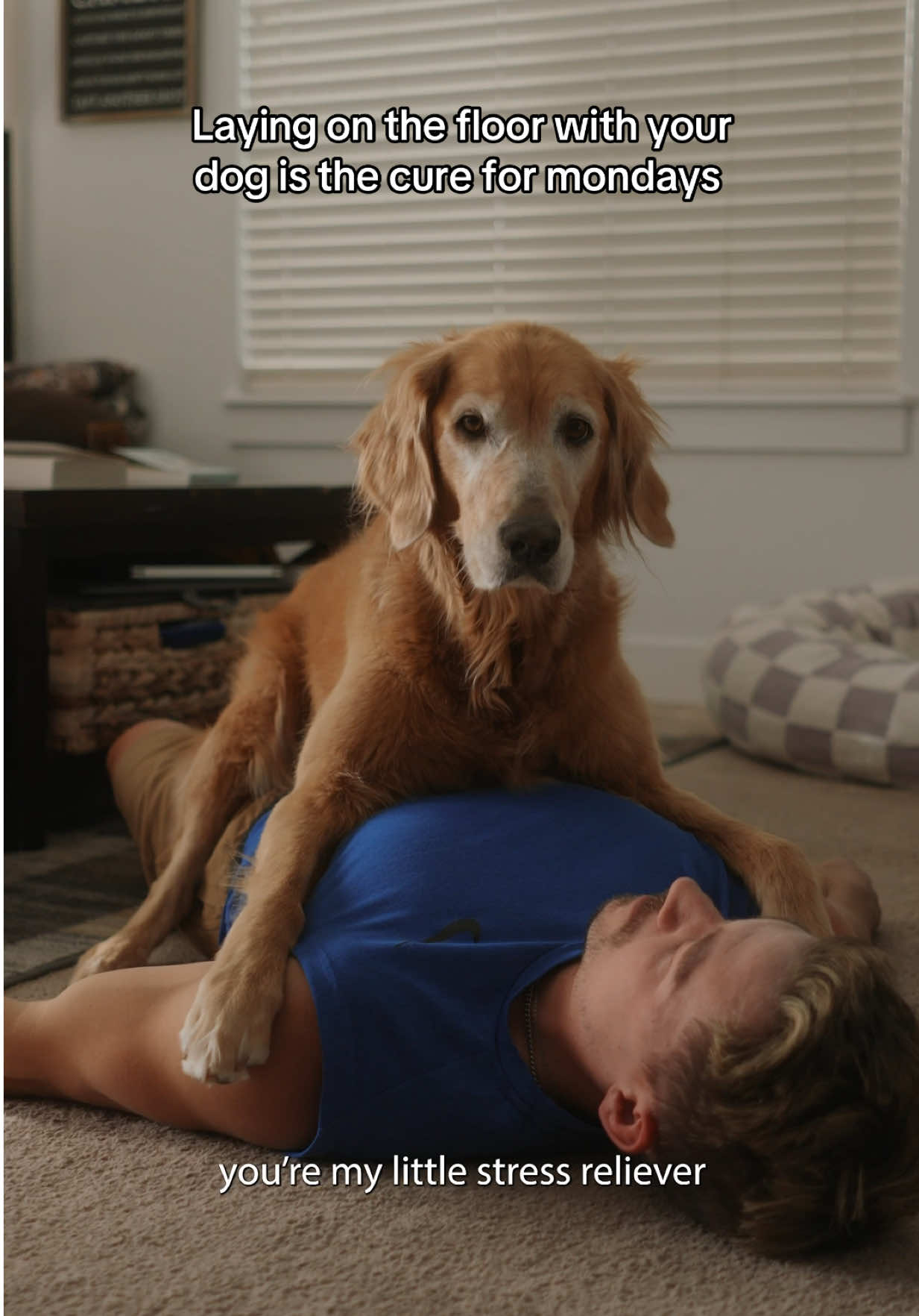 A post by @adventuringwithnala on TikTok caption: Nala smushes make every day better actually 