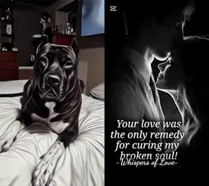A post by @teamdiablo321 on TikTok caption: #duet with @Princess_LoLa #teamdiablo321 #fypシ゚viral🖤tiktok #fypシ゚ #fypシ゚viral #happyness #healingjourney #healingprocess #eldiablo 