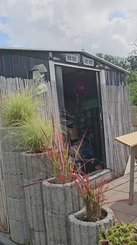 A post by @dergrillcommander on TikTok caption: #erinnerung 