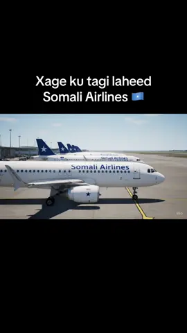 A post by @najeeb_43 on TikTok caption: #somali #somalitiktok 