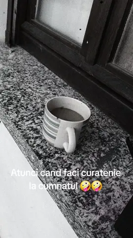 A post by @amorevole35 on TikTok caption: #cleaningmotivation 