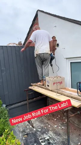 A post by @_smooth47 on TikTok caption: We do have a craic! #plastering #builders #builder #construction #fyp 