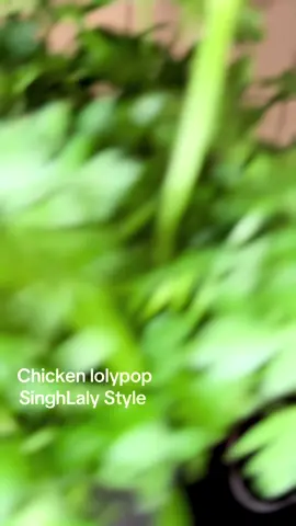 A post by @singh_laly_official on TikTok caption: Chicken lolypop SinghLaly Style  Adress📍:  Seilerweg 19,  39114 Magdeburg 📞0391 5632660 👨🏽‍💻 das-elb.de #fy #fype #fyp #viral #foryoupage #restaurant #chefs #kulinarisch #kulinertiktok #italian #yf Dr indian #germany #bbq #meat #meatlovers #food #foodie #summer #2025 #hotel #singh #laly ##daselb #indianpalace #tiktokindia #views #grill #tandoori #oven #ovenbread #dinner #latenight #abend #buffet #essen #recipe #tiktok #food #foodtiktok #foodlover#magdeburg #gastronomiMagdeburg #hotelmagdeburg #essenmagdeburg #restaurantmagdeburg #chickenlolypop #pop #lolypop #loly