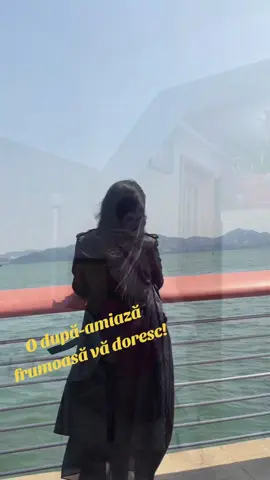 A post by @ionelbrenda on TikTok