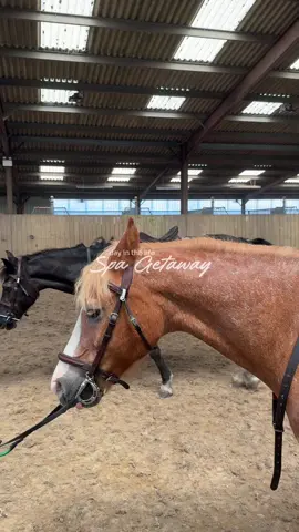 A post by @ on TikTok caption: Day in the life: as a corporate babe, luxury uk spa #getaway day 2🌾 - ﻿﻿Recovering overplanner - My understanding of ‘balance’ - ﻿Horse riding lesson, new #hobbies  - Sunbathing with @Hawaiian Tropic  - #thingstodoinlondon on a getaway  #fyp #romanticisinglife #success #career #corporatebabe #corporatebaddie #spaday #ukgetaway #womenintech #sacrifice #Lifestyle #horseriding #equestrian #trotting #luxuryspa #girlhood #worklifebalance #staycationuk #becomingher #spadayvlog #outfitinspo #heavenmustbemissinganangel 