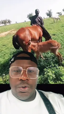 A post by @dembodoukara on TikTok caption: #devinelapersonne 