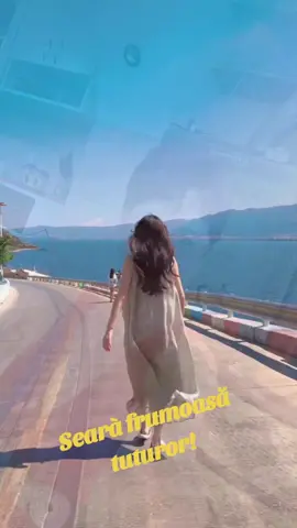 A post by @ionelbrenda on TikTok
